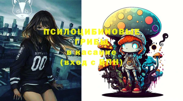 прущие крисы Абаза