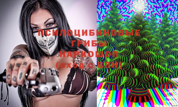 прущие крисы Абаза