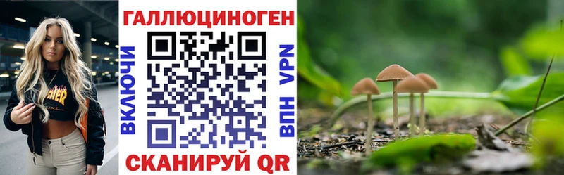 купить наркоту  Мамоново  Псилоцибиновые грибы Magic Shrooms 